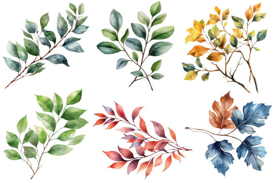 collection of leaves with different colors in watercolor, on a transparent background, Generative AI