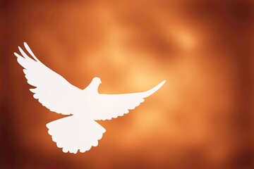 Beautiful white flying dove on color background