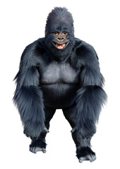 3D Rendering Black Gorilla Ape on White