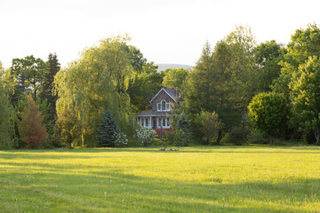 Fototapeta premium Selective focus view of rural landscape with Canada geese in field in front of house nestled in trees seen during a late spring afternoon, Quebec City, Quebec, Canada