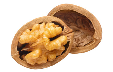 Delicious walnut cut out