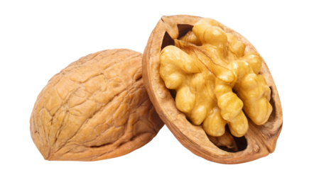 Delicious walnut cut out