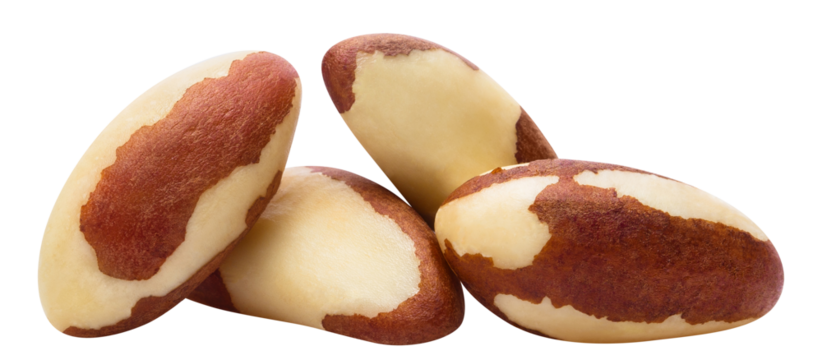 Delicious brazil nuts cut out