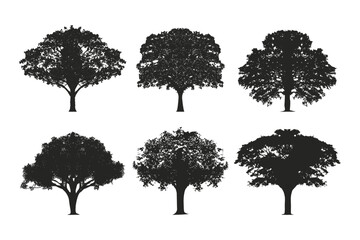 Fototapeta premium Silhouettes tree vector set illustration