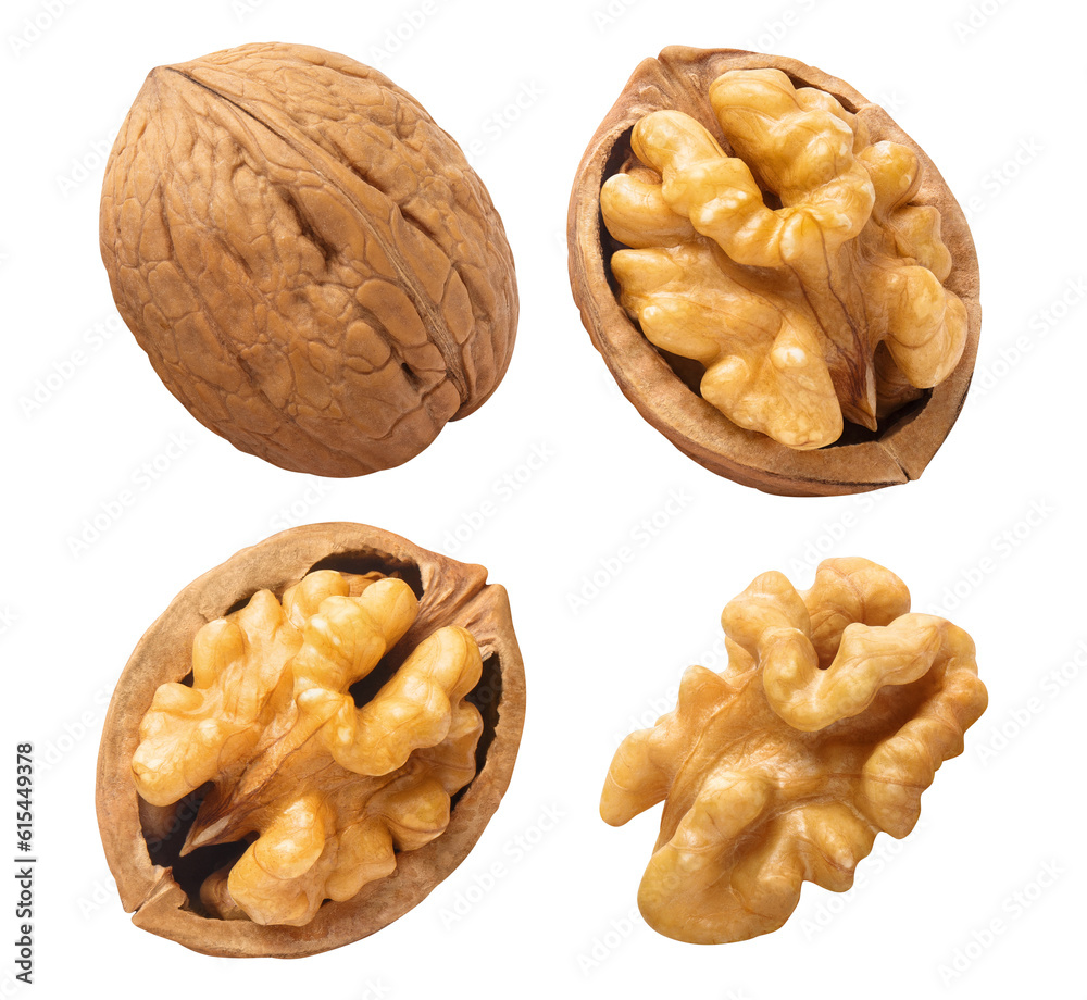 Wall mural Set of delicious walnuts cut out