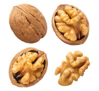 Set of delicious walnuts cut out © Yeti Studio
