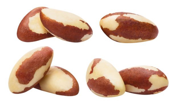 Set of delicious brazil nuts cut out
