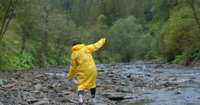 Back view female tourist in yellow rain coat strolling on rocks of mountain river in slow motion. Wide shot confident Caucasian young woman walking on stones in forest. Cinema 4k ProRes HQ