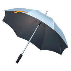 3d render Umbrella (clipping path)