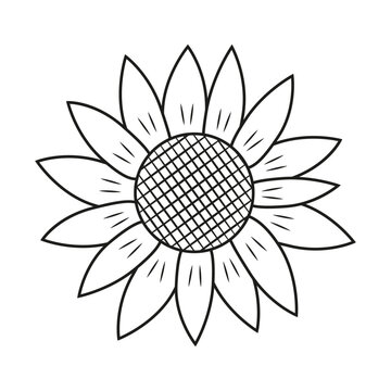 Sweet summer easy simple outline sunflower in cute style. Coloring book for small childrens with kawaii flower. Vector illustration, isolated on a white background with live stroke