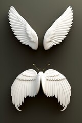 Fototapeta na wymiar angel wings isolated on black