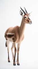 Minimalistic Antelope: photography. Grace in Simplicity. Generative AI