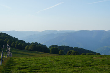 Vosges