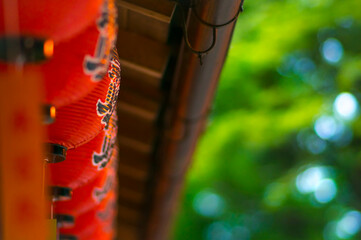 京都 夏の伏見稲荷大社を彩る提灯の赤と森の新緑