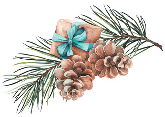 Forest pine branches with gift and cones. Watercolor illustration on white background.