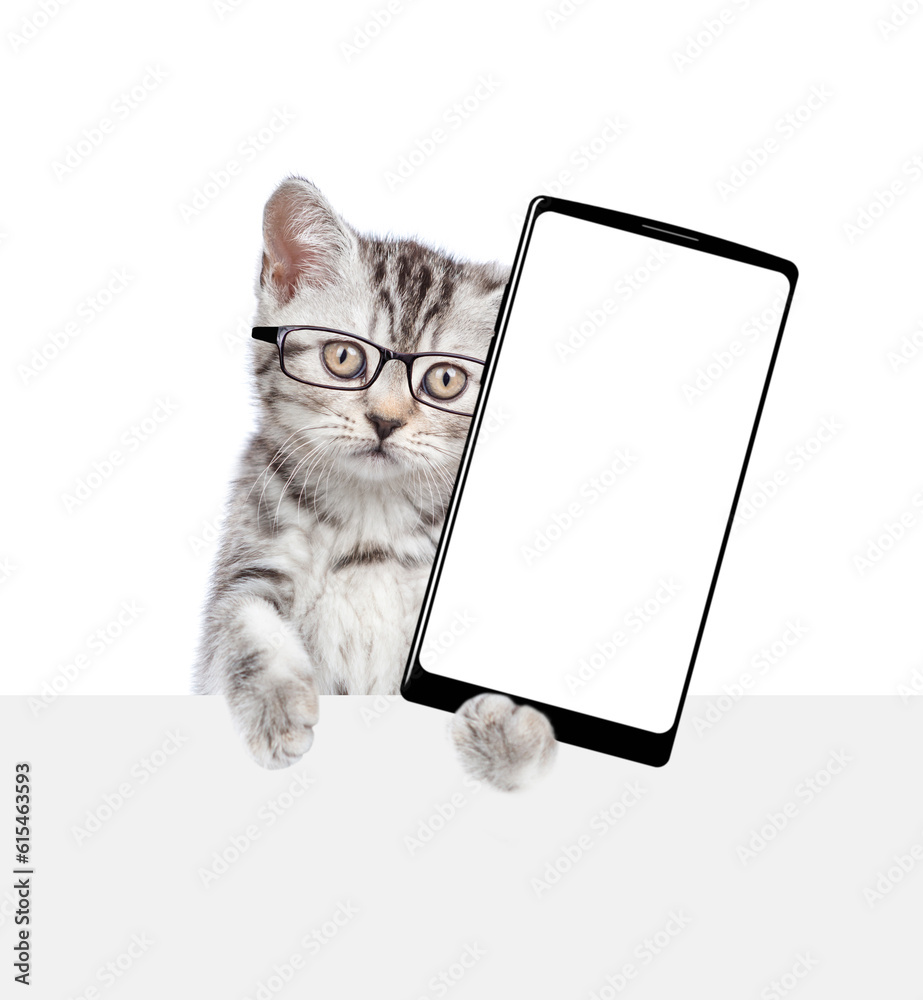 Poster smart cat wearing eyeglasses looks above empty white banner and shows big smartphone with blank scre