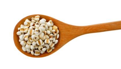 Millet in wood spoon isolated on transparent png