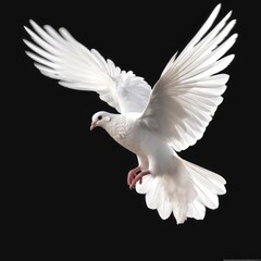 Flight of Freedom: The Majestic Wingspan of a Peaceful Dove in Flight, generative ai