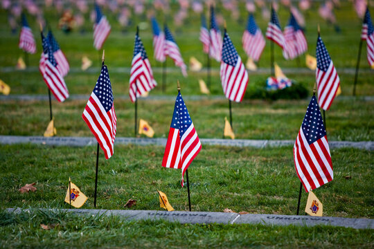 American flags planted at the National Cemetery in Gettysburg, Gettysburg National Historic Park, Pennsylvania, USA; Pennsylvania, United States of America