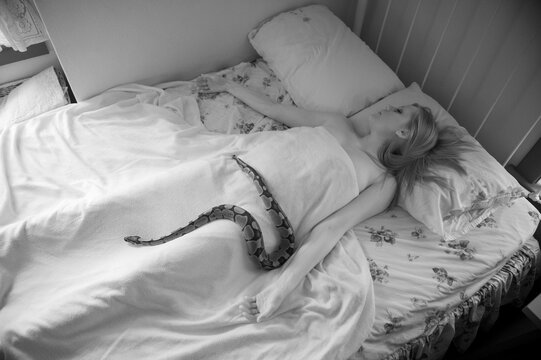 Young woman sleeps in bed with a Ball python (Python regius); Lincoln, Nebraska, United States of America