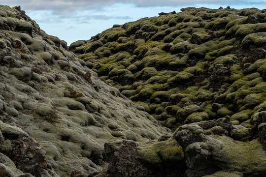 Mysterious and artistic patterns of a moss covered lava field in Iceland; South Iceland, Iceland