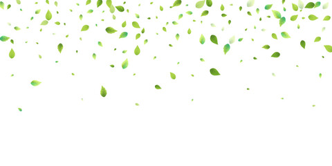 Leaves Green Falling Flying Foliage Leaf Tea Mint