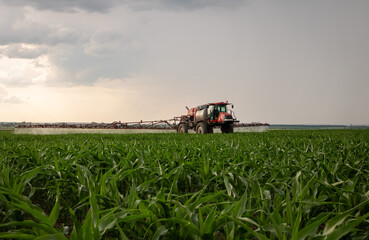 Red sprayer working on a field of corn