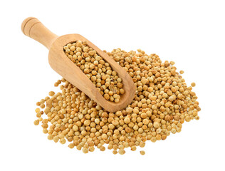 Coriander seeds in scoop isolated on transparent png