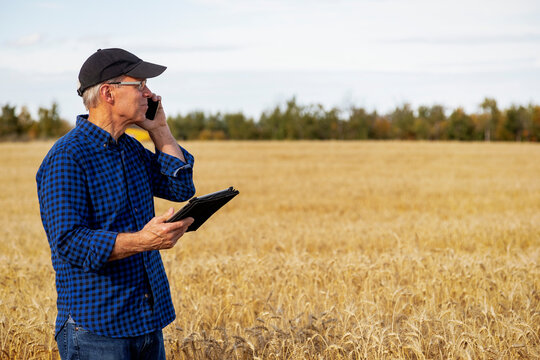 Farmer using a tablet to manage his harvest and talking on his cell phone while standing in a wheat field; Alcomdale, Alberta, Canada