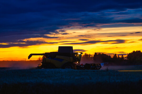 Combine at work harvesting a wheat field at sunset; Alcomdale, Alberta, Canada