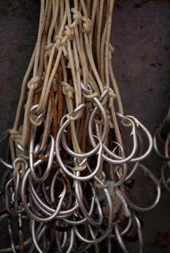 Grouping of silver fishhooks; Sitka, Alaska, United States of America