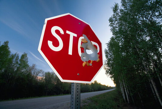 Stop sign with a large bullet hole; Fairbanks, Alaska, United States of America