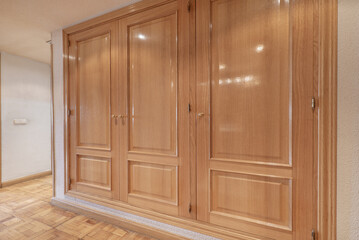 Corridor of a residential house with a large built-in wardrobe