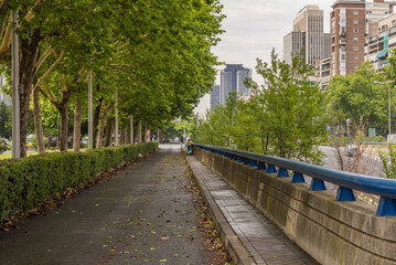 Auxiliary lanes for the transit of buses and taxis