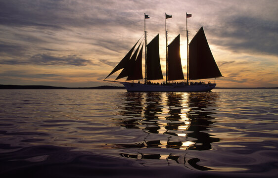 Three masted schooner under sail at sunset; Maine, United States of America