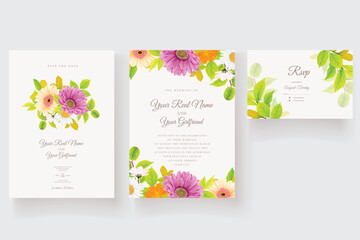 daisy floral and leaves background and border illustration card