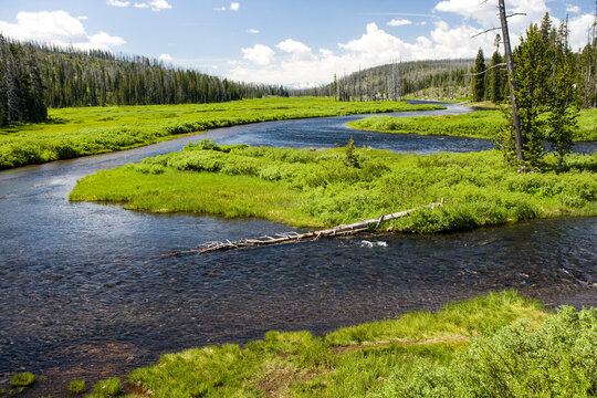 View of the Lewis River in Yellowstone National Park, USA; Wyoming, United States of America
