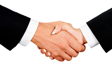 Closeup of Two Business People Shaking Hands