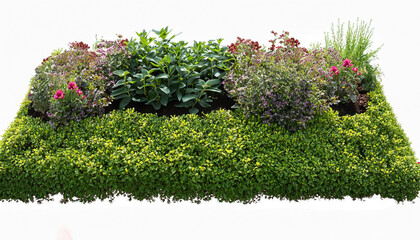 Cut out flowerbed. Plants and flowers isolated on white background. Flower bed for garden design or landscaping. High quality image for professional composition. - obrazy, fototapety, plakaty