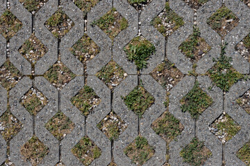 open lattice pattern concrete pavers, with natural grass growing in between the stones, preventing soil erosion and allowing rainwater to permeate, nice graphic background