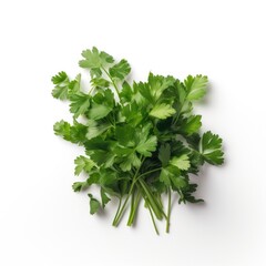 Fototapeta premium Cilantro isolated on white background. Generative AI