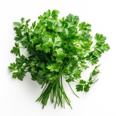 Chervil isolated on white background. Generative AI