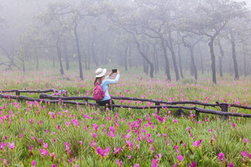 A young women traveling to the Siam Tulip Blossom field, Chaiyaphum Province, Thailand.