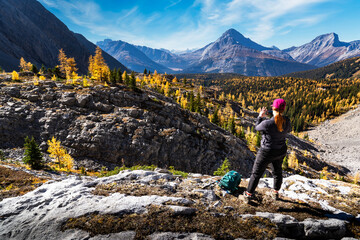 A woman in nature taking a photograph of mountain larch trees in Autumn colours overlooking the Canadian Rocky Mountains in Kananaskis near Banff Canada.
