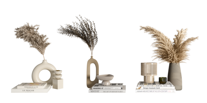  Dried flower in vase on white background