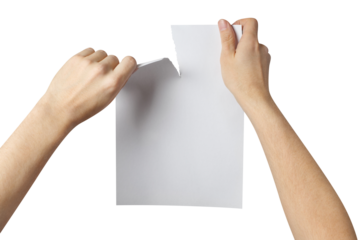 Hands tearing a sheet of white A4 paper in half, cut out