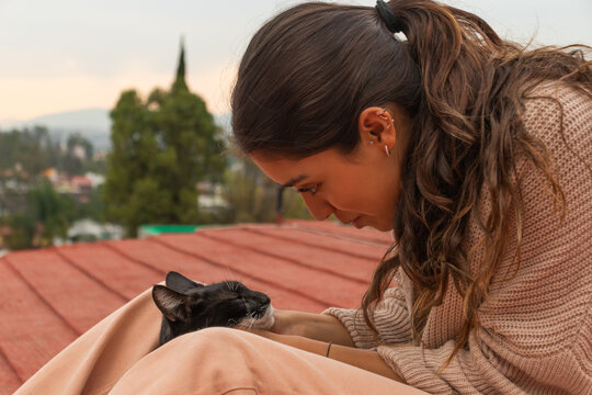 Woman caressing adorable stray cat