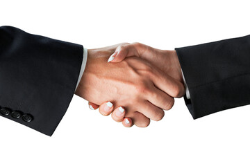 Closeup of Two Business People Shaking Hands