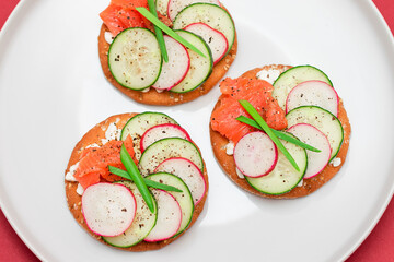 Crispy Cracker Sandwiches with Fresh Salmon, Cucumber, Radish, Cottage Cheese and Green Onions. Easy Breakfast. Quick and Healthy Sandwiches. Crispbread with Tasty Filling. Healthy Dietary Snack