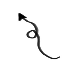 illustration of a silhouette of a snake